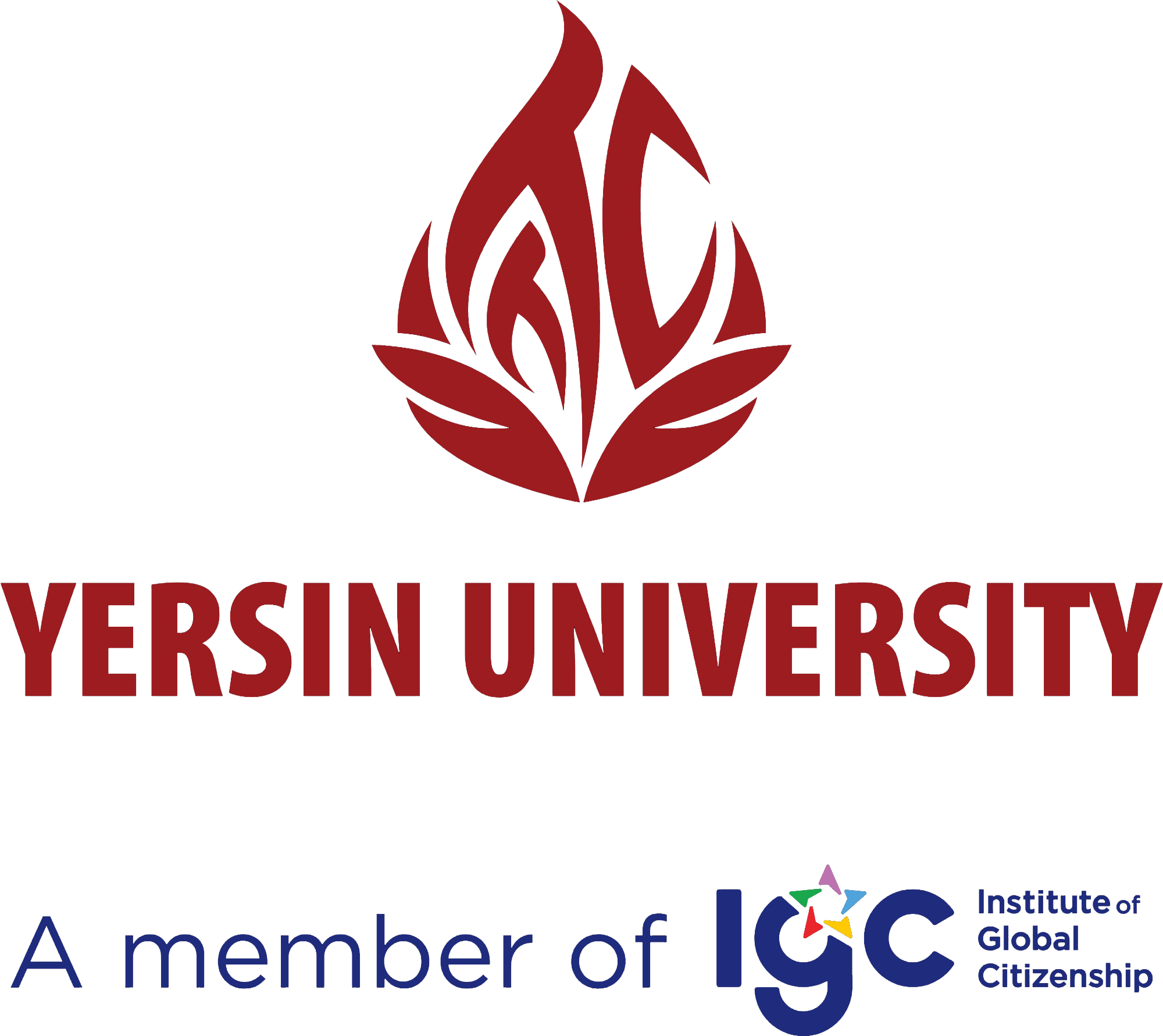 yersin university