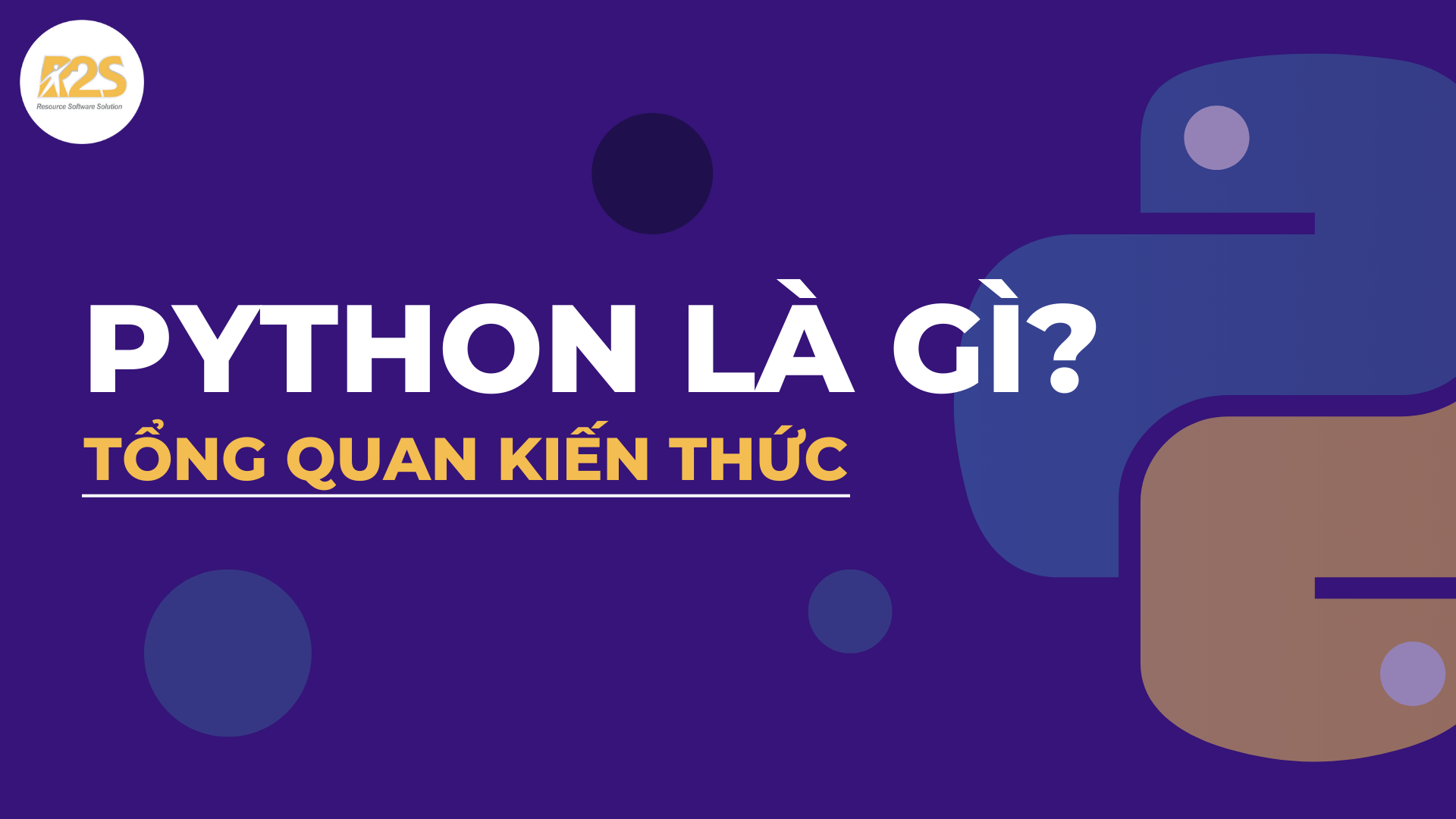 Python là gì? Tổng quan kiến thức